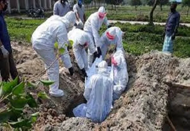 করোনায় আরো ২০৪ জনের মৃত্যু