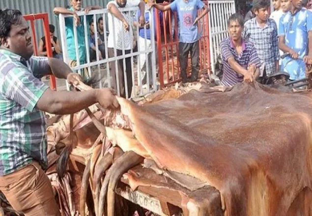 চামড়া সংগ্রহে প্রস্তুত ট্যানারি মালিকরা