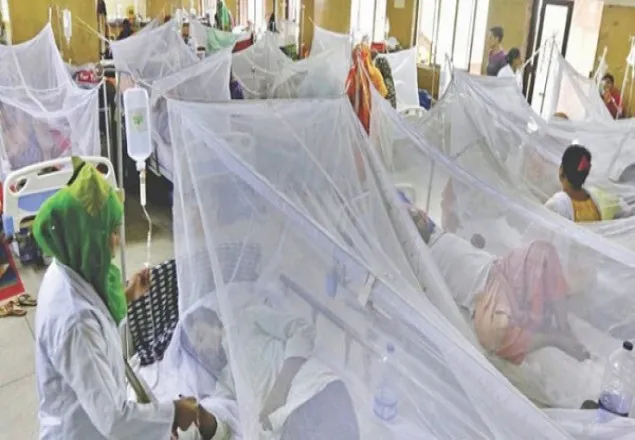 গত ২১ দিনেই ৯৮৮ ডেঙ্গু রোগী শনাক্ত