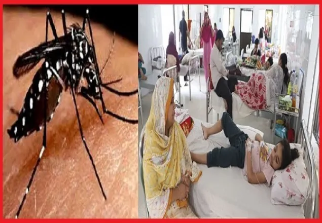 ডেঙ্গু রোগের প্রকোপ বৃদ্ধি : আশঙ্কাজনক হারে আক্রান্ত হচ্ছে শিশুরা