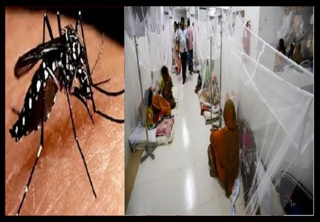 ডেঙ্গু রোগীর সংখ্যা বেড়েই চলেছে, ২৪ ঘন্টায় ভর্তি ১০৫ জন