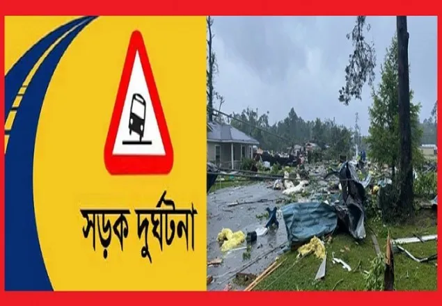 যুক্তরাষ্ট্রে বালি ঝড়ের কবলে পড়ে সড়ক দুর্ঘটনা : নিহত ৮