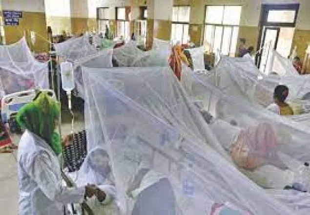 ২৪ ঘণ্টায় ১৯৪ ডেঙ্গু রোগী শনাক্ত