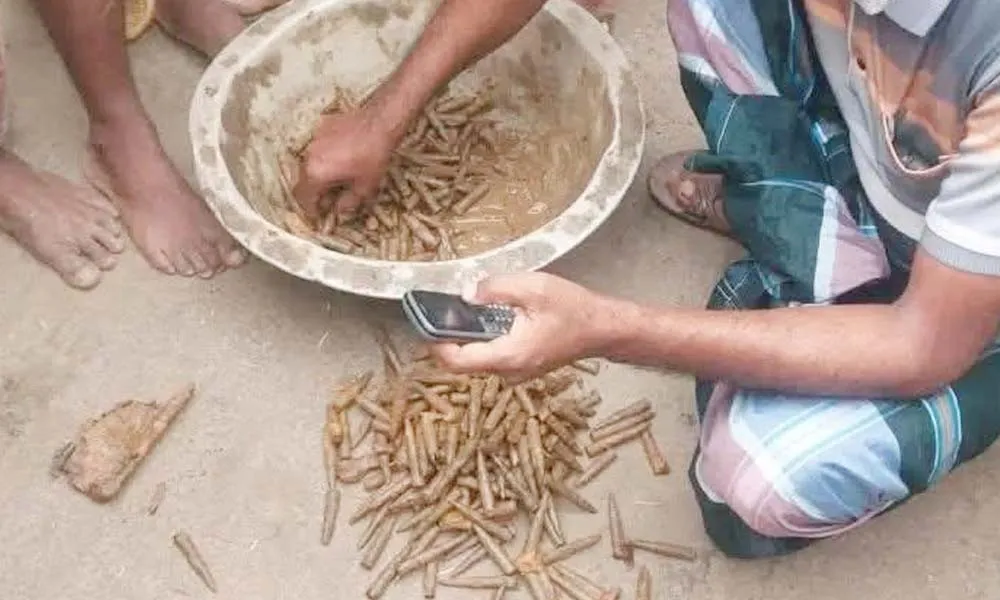 নওগাঁয় মাঠ থেকে ৩২৫ রাউন্ড গুলি উদ্ধার