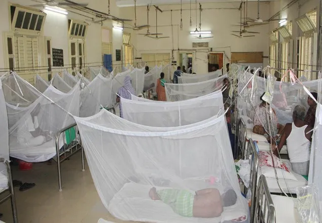 ২৪ ঘণ্টায় আরও ২৩৭ ডেঙ্গু রোগী হাসপাতালে ভর্তি