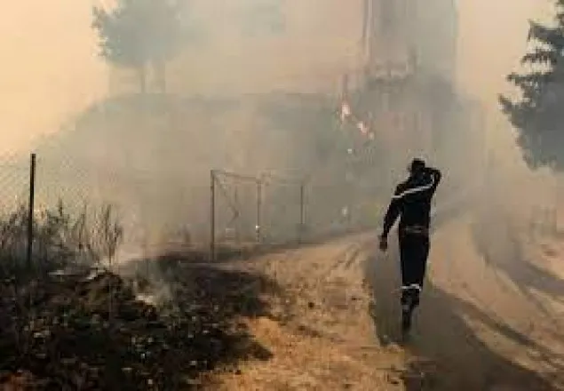 আলজেরিয়ায় ভয়াবহ দাবানলে ২৫ সেনাসহ ৪২ জনের মৃত্যু