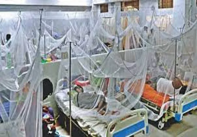 ডেঙ্গু: আরও ২৪২ জন হাসপাতালে ভর্তি