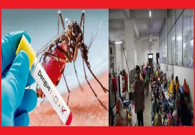 ডেঙ্গু রোগীর সংখ্যা ৬ হাজার ছাড়িয়েছে