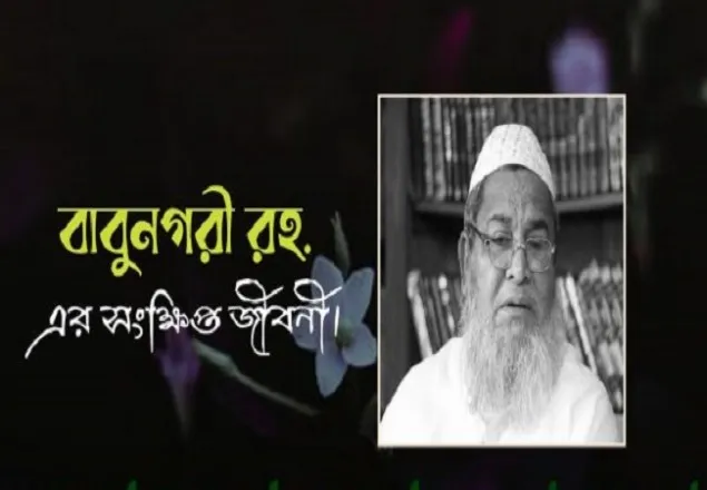 এক নজরে জুনায়েদ বাবুনগরীর বর্ণাঢ্য জীবন