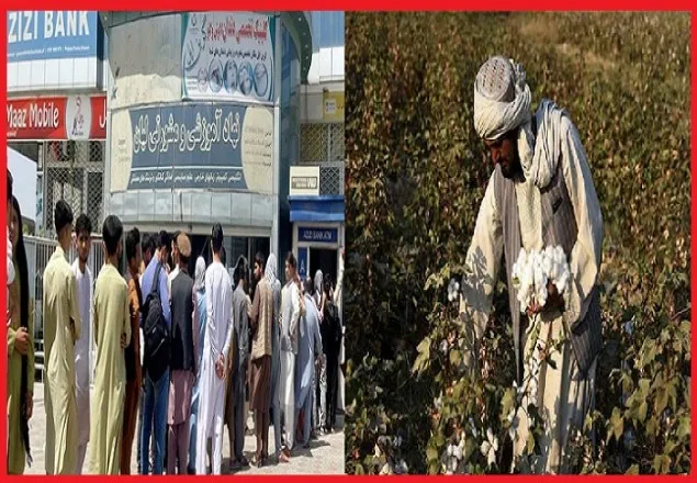 আফগানিস্তানের অর্থনীতিতে ধস : কৃষিখাতই ভরসা