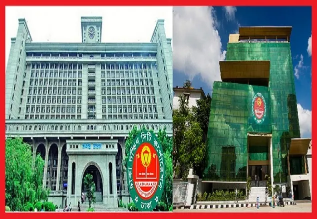 প্রতি বছর মশা নিধনে বরাদ্দ বাড়ে, সঠিক ব্যবহারের অভাবে বাড়ছে মশা