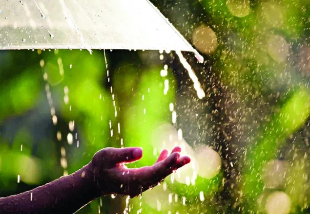 দেশের বিভিন্ন স্থানে হালকা বৃষ্টি হতে পারে