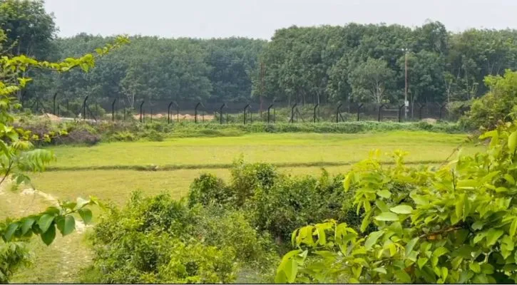 ফেনী সীমান্তে ৪ জনের অনুপ্রবেশের চেষ্টা রুখে দিল বিজিবি