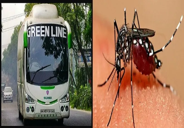 গ্রিন লাইন কাউন্টারে মশার লার্ভা পেয়েছে ‘ভ্রাম্যমাণ আদালত’