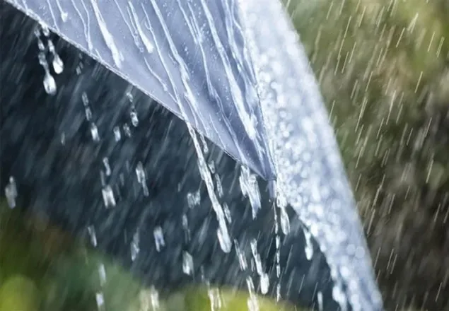 আগামী তিন দিন বৃষ্টি বাড়ার সম্ভাবনা