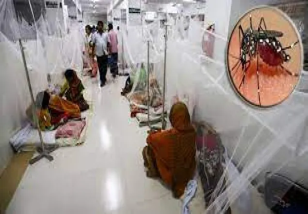 ডেঙ্গু: ২৪ ঘণ্টায় হাসপাতালে ভর্তি আরও ২৬৭ জন