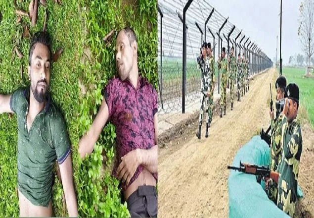 ভারতীয় বিএসএফের গুলিতে ২ বাংলাদেশি নিহত