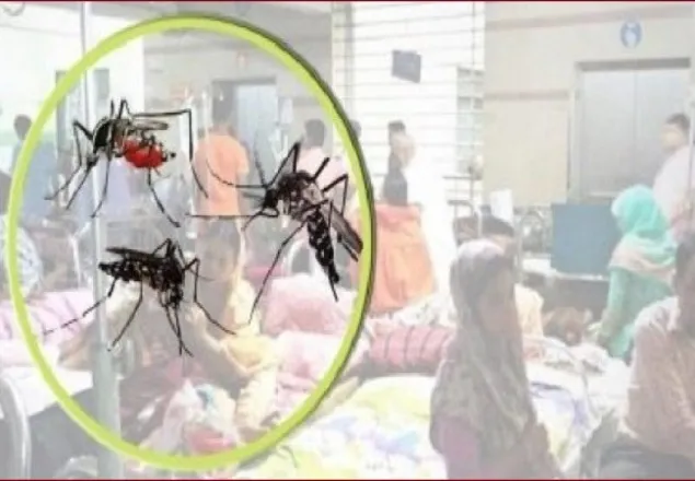 ডেঙ্গু আক্রান্ত হয়ে আরও ২৫২ জন হাসপাতালে ভর্তি 