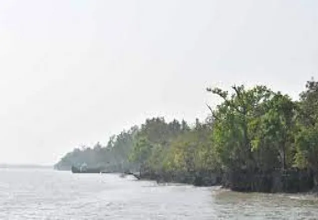 সুন্দরবন ভ্রমণে নিষেধাজ্ঞা উঠল