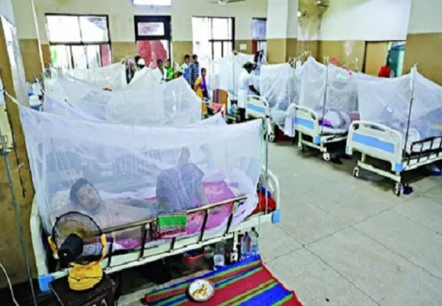 একদিনে ২৩৩ ডেঙ্গু রোগী হাসপাতালে ভর্তি