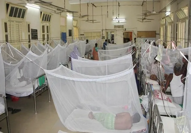 ডেঙ্গুতে ২৪ ঘণ্টায় ৩৩০ জন হাসপাতালে ভর্তি, মৃত্যু ৩