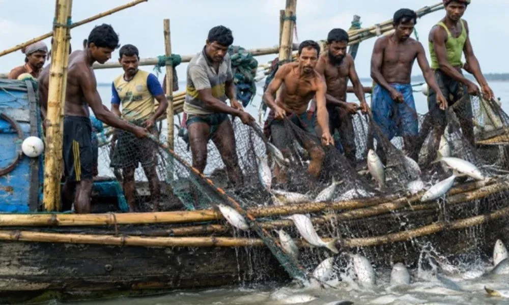 ৬ লাখ ৪৬ হাজার জেলে পরিবার পাবে ১ হাজার ৬৫৭ টন চাল