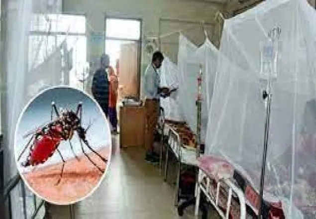 ডেঙ্গুতে নতুন করে ৩৪৩ জন আক্রান্ত