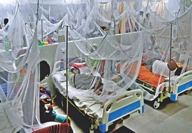 ডেঙ্গুতে আরও তিনজনের মৃত্যু, হাসপাতালে ভর্তি ২৮৮
