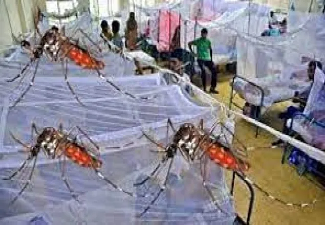 একদিনে ডেঙ্গু আক্রান্ত আরও ৩০৭