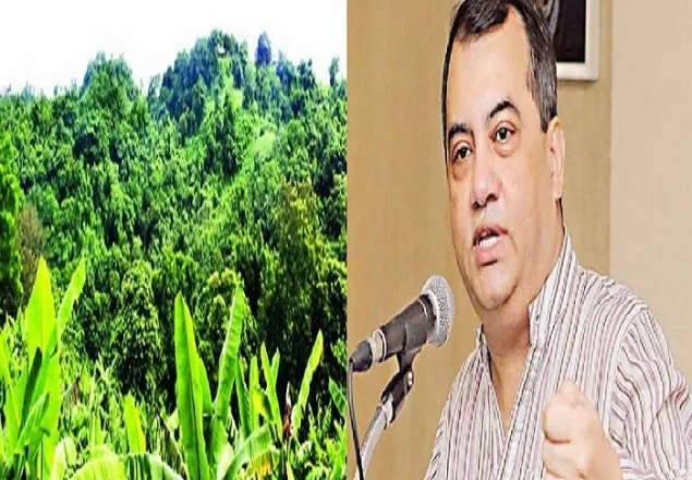 বনভূমিতে প্রশিক্ষণ একাডেমি নির্মাণের বিরোধিতায় সংসদীয় কমিটি