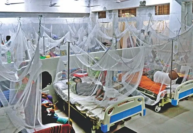 ডেঙ্গু: আরও ২৭৫ জন হাসপাতালে ভর্তি