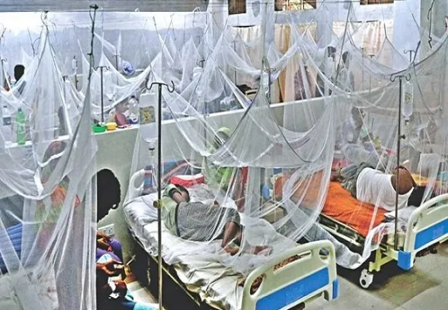 ডেঙ্গু: ২৪ ঘণ্টায় হাসপাতালে ভর্তি ২৪৬