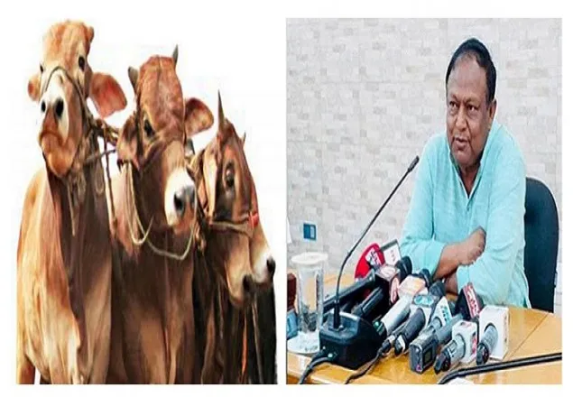 ই-কমার্সে কোরবানির গরু অর্ডার দিয়ে প্রতারিত হয়েছেন বাণিজ্যমন্ত্রী