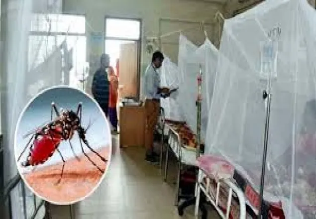 ডেঙ্গু আক্রান্ত হয়ে আরও ১৯০ জন হাসপাতালে ভর্তি
