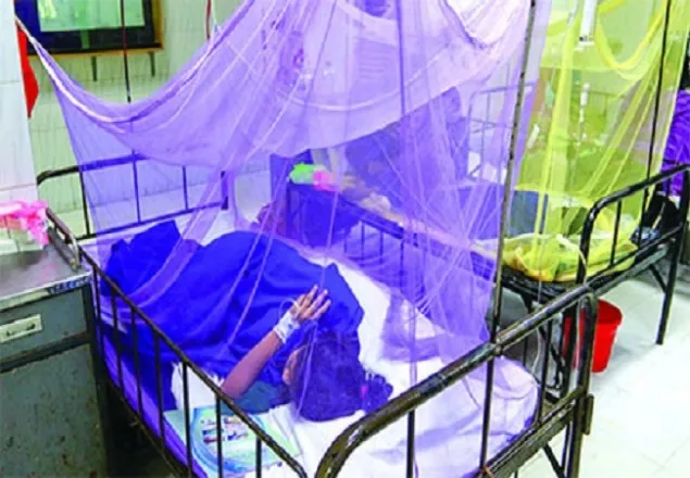 ডেঙ্গুতে নতুন আক্রান্ত আরও ১৮৮ জন