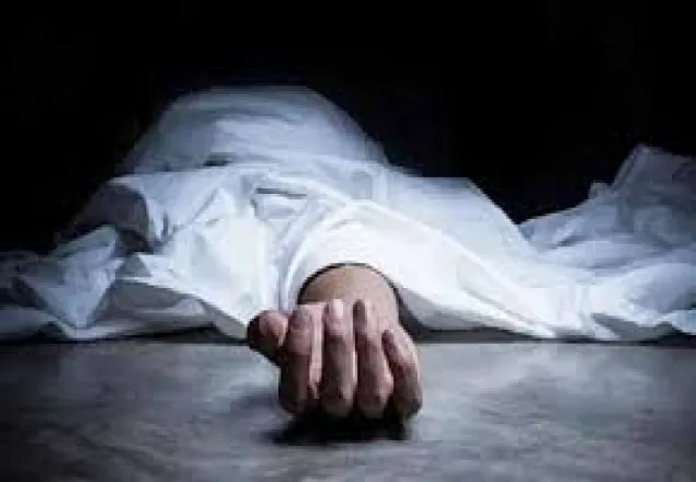 সিলেটে বিদ্যুৎস্পৃষ্টে দাদা-নাতি নিহত