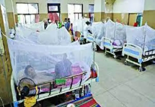 ডেঙ্গুতে আরও ২ জনের মৃত্যু, নতুন আক্রান্ত ১৯৭ জন