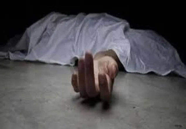 ময়মনসিংহে বিদ্যুৎস্পৃষ্টে কৃষকের মৃত্যু