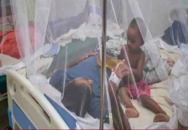 ডেঙ্গু আক্রান্ত আরও ২২৪ রোগী হাসপাতালে ভর্তি