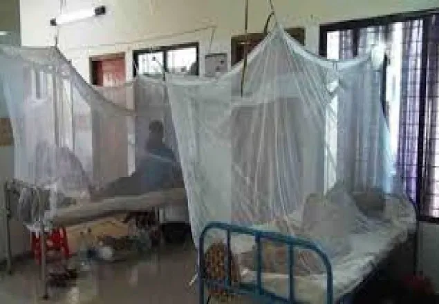 ডেঙ্গুতে নতুন করে আক্রান্ত ১৮৩