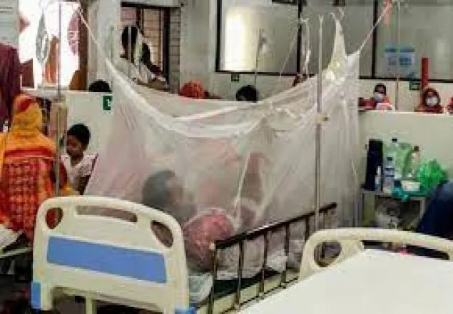 ১৫১ জন ডেঙ্গু রোগী হাসপাতালে ভর্তি