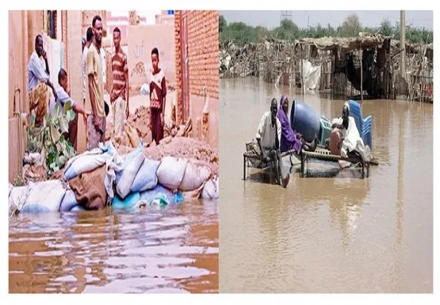 দক্ষিণ সুদানে ভয়াবহ বন্যায় খাদ্য সংকট, ঘাস খেয়ে বাঁচতে হচ্ছে