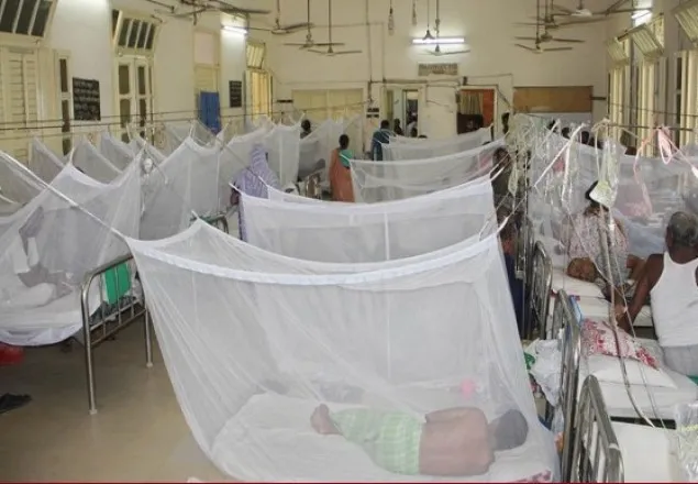 ডেঙ্গুতে আরও ২ জনের মৃত্যু, হাসপাতালে ভর্তি ১৮৯