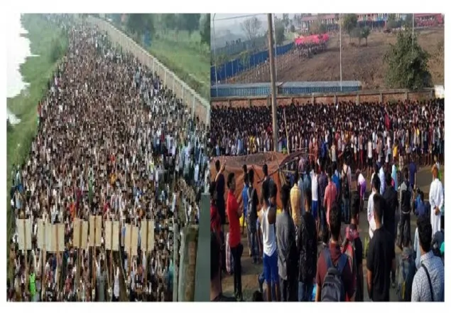 ২৬৬ পদের বিপরীতে লাখখানেক পরীক্ষার্থী