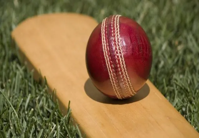 মরুভূমির ক্রিকেট মাতাবেন যেসব ক্রিকেটার