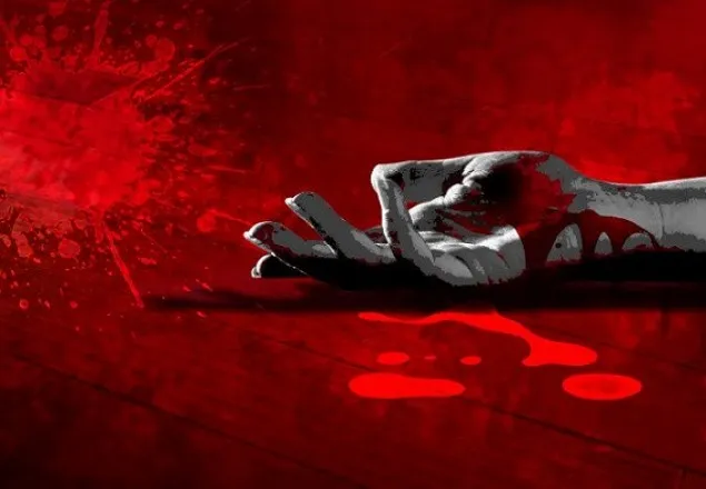 কুমিল্লায় বৃদ্ধাকে গলাকেটে হত্যা