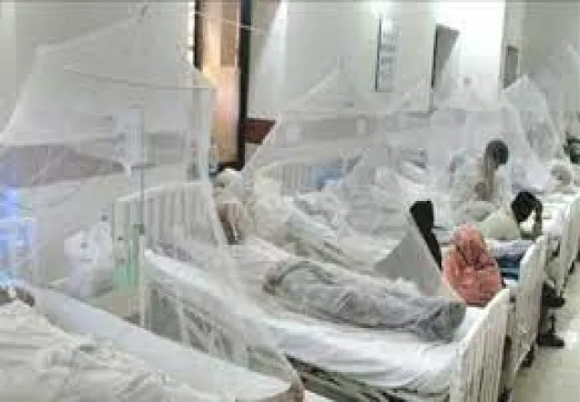 ডেঙ্গু: আরও ১৮২ রোগী হাসপাতালে ভর্তি