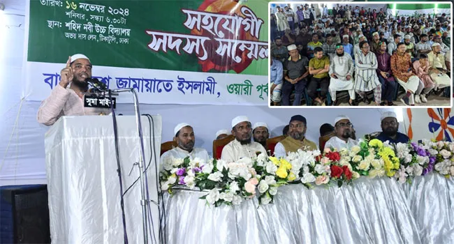 আ’লীগ মুক্তিযোদ্ধাদের দলীয় সম্পদ বানিয়ে মর্যাদা ক্ষুন্ন করেছে : ড.মাসুদ