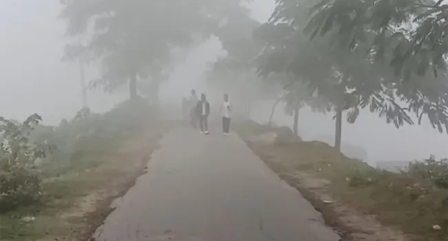 কমছে তাপমাত্রা, বাড়ছে শীতের তীব্রতা
