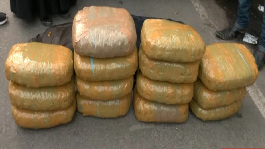 Man held with 45.1 kg ganja in Rajshahi